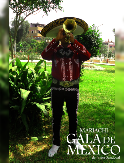 Espectáculo de mariachis a domicilio en Lima