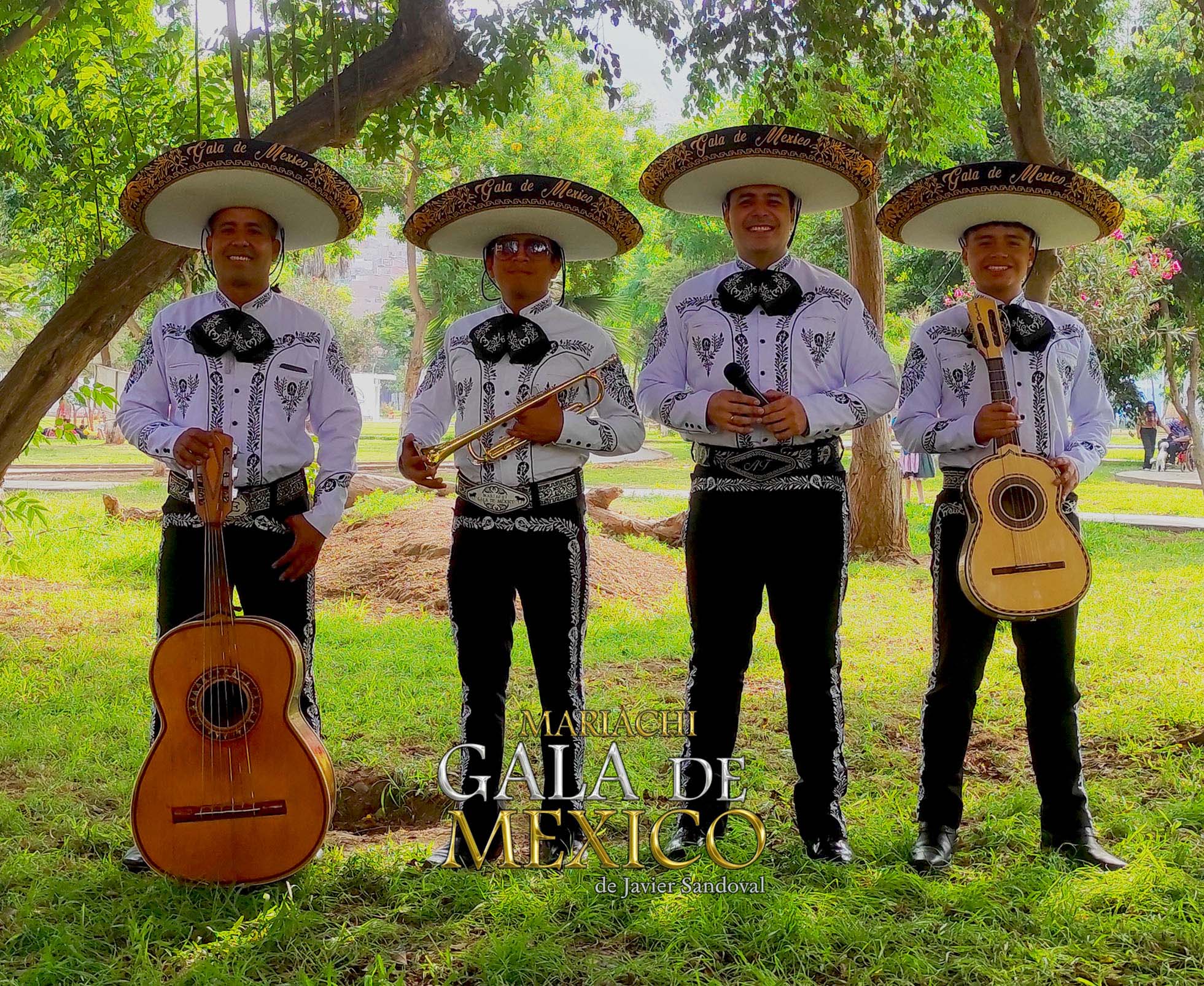 Mariachis económicos para serenatas a domicilio